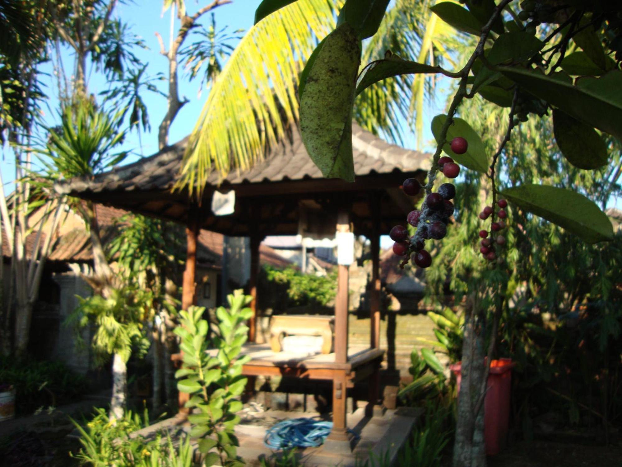 Gusti Home Stay Ubud Oda fotoğraf